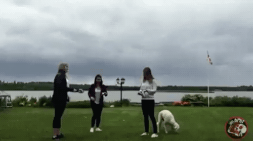 Drunk Girl Fails