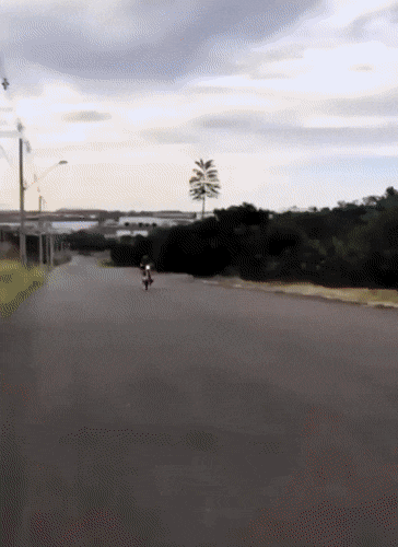 dirty minds only 42 gifs 3.html - 1 HD GIF | Premium Gallery 2022