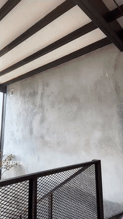 hot girls are here for you 42 gifs 11.html - 1 HD GIF | Premium Gallery 2022