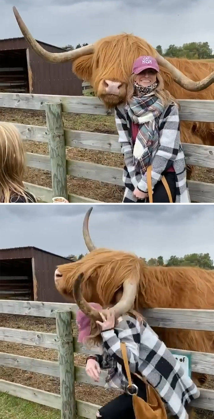 Influencers Are Crazy…