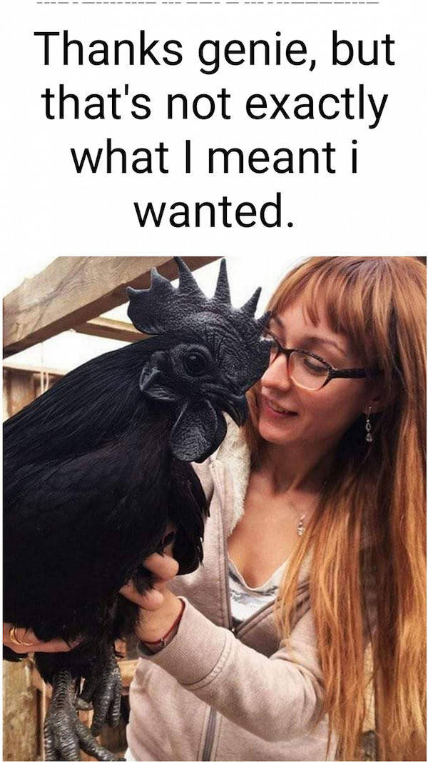 feed your dirty mind 63 pics 32.html - 63 HD Photos | Premium Gallery 2022