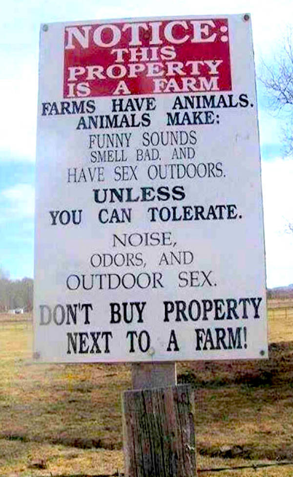 You Know You Like NSFW Memes…