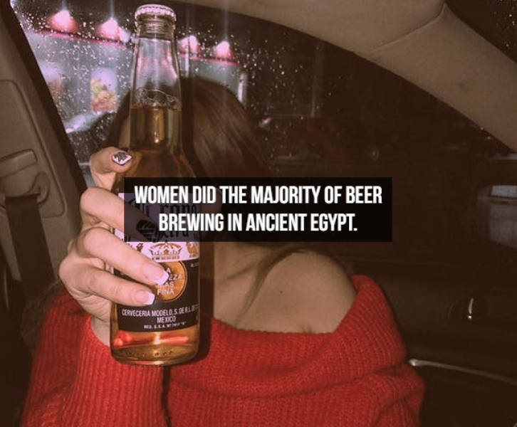 Let’s Brew Up Some Beer Facts!