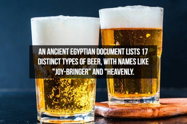 Let’s Brew Up Some Beer Facts!