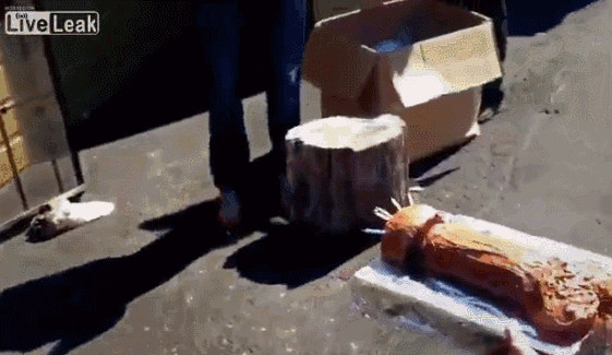 dirty minds only 42 gifs 6.html - 1 HD GIF | Premium Gallery 2022