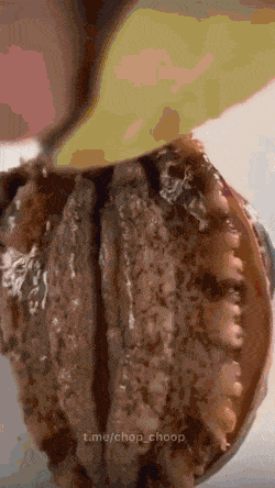dirty minds only 42 gifs 6.html - 1 HD GIF | Premium Gallery 2022