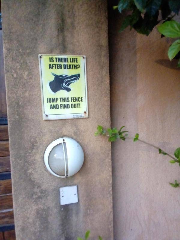 Woah, Calm Down, Bad##s!