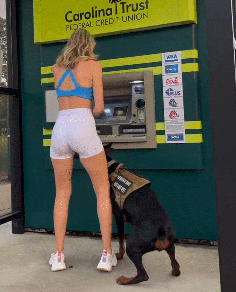 dirty minds only 42 gifs 4.html - 1 HD GIF | Premium Gallery 2022