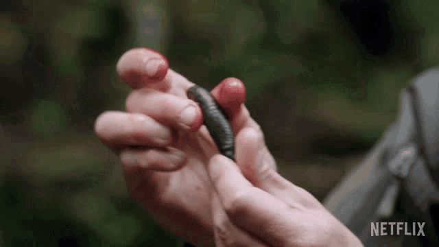 Dirty Bits Of NSFW History