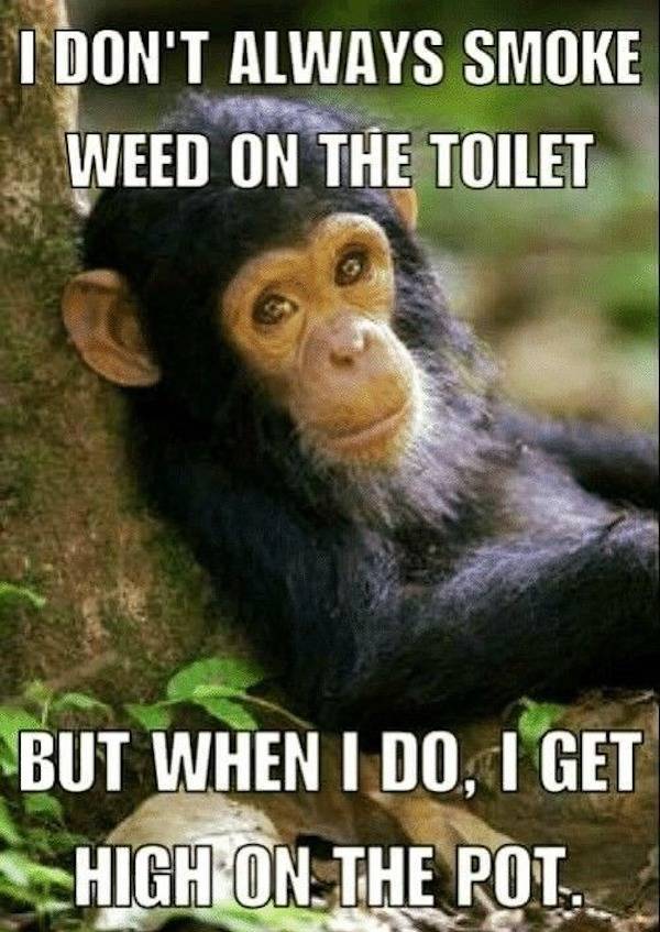 Yep, That