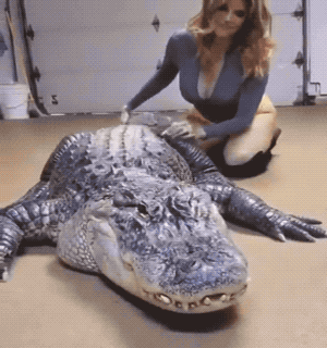 these girls are very skilled 36 gifs 8.html - 1 HD GIF | Premium Gallery 2022