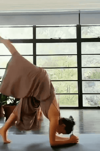 these girls are very skilled 36 gifs 8.html - 1 HD GIF | Premium Gallery 2022