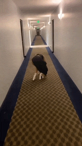 hot girls still fail 25 gifs 7.html - 1 HD GIF | Premium Gallery 2022