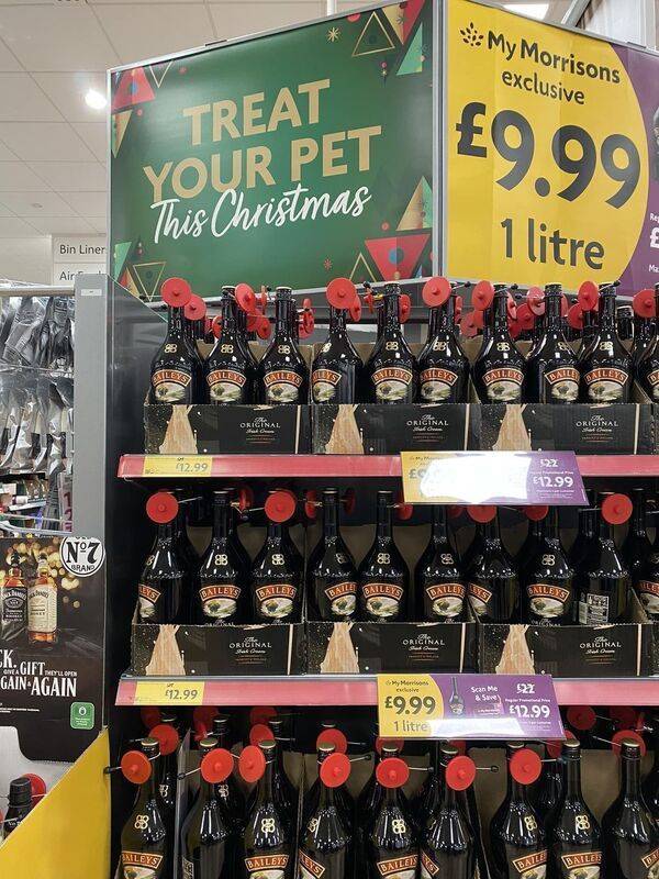 cheers to everyone 35 pics 8 gifs 19.html - 35 HD GIF | Premium Gallery 2022