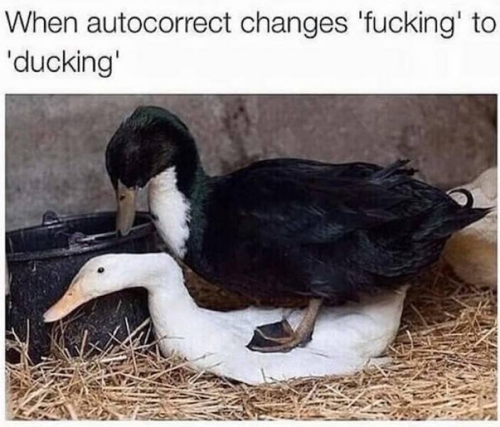 How Dirty Is Your Mind?