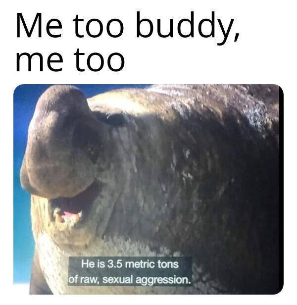 how dirty is your mind 54 pics 2 gifs 4.html - 54 HD GIF | Premium Gallery 2022