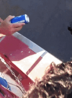 cheers to everyone 35 pics 8 gifs 19.html - 35 HD GIF | Premium Gallery 2022