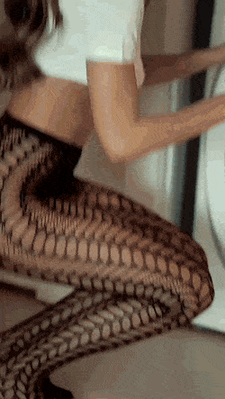 their legs are soo long 52 gifs 2.html - 1 HD GIF | Premium Gallery 2022