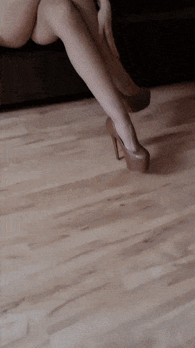 their legs are soo long 52 gifs 2.html - 1 HD GIF | Premium Gallery 2022