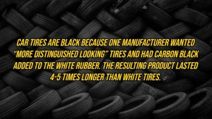 Want Some Randomness In Your Facts?