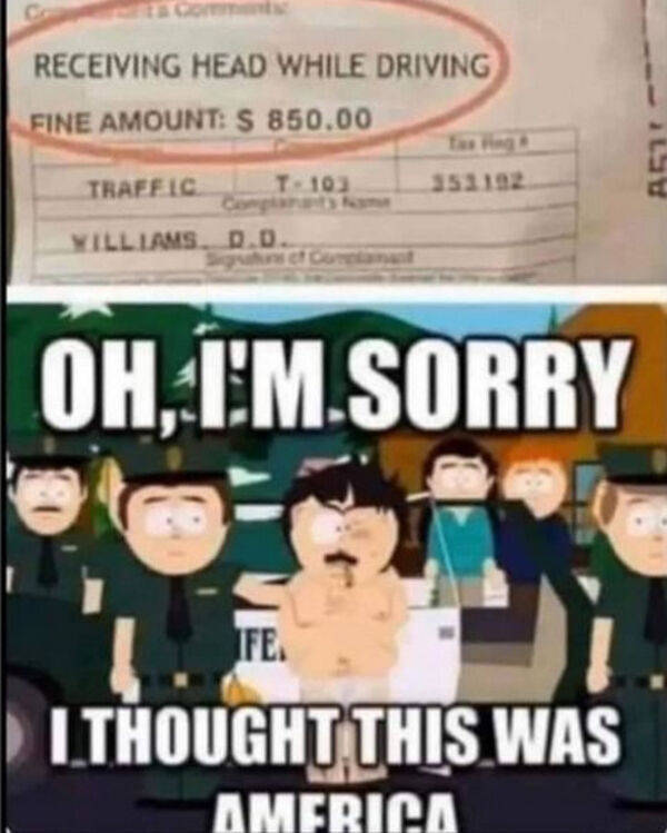 dirty memes only 40 pics 18.html - 40 HD Photos | Premium Gallery 2023