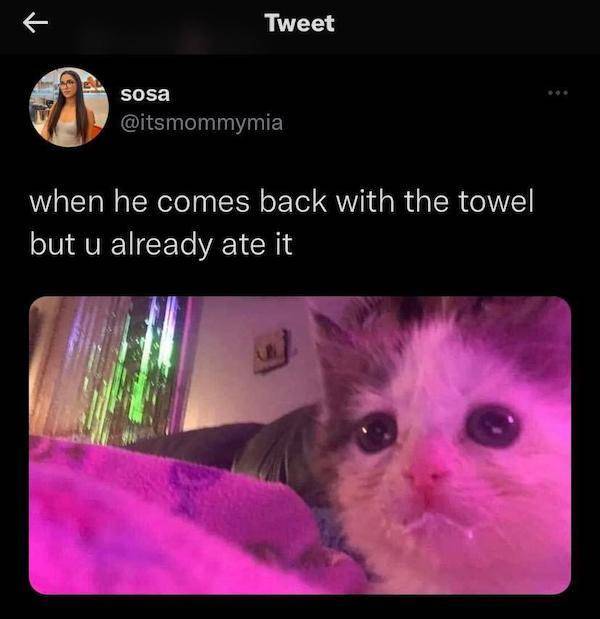 dirtier dirtier 23 pics 9.html - 23 HD Photos | Premium Gallery 2023