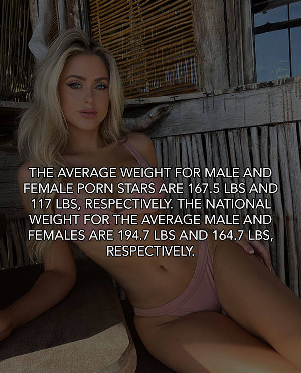 Porn Knowledge For Everyone