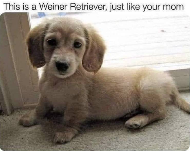 Dirty Minds, Assemble!