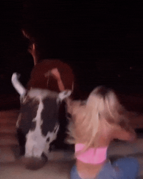 girls having some fun 46 gifs 6.html - 1 HD GIF | Premium Gallery 2023