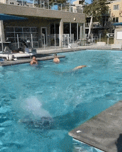 ohthose legs 45 gifs 8.html - 1 HD GIF | Premium Gallery 2023