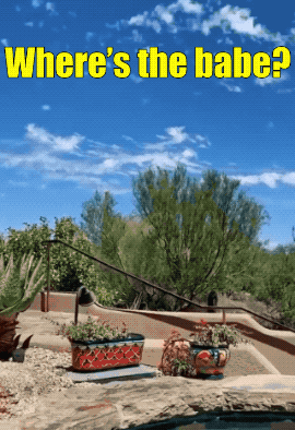 fit girls showing off their skills 24 gifs 2.html - 1 HD GIF | Premium Gallery 2023