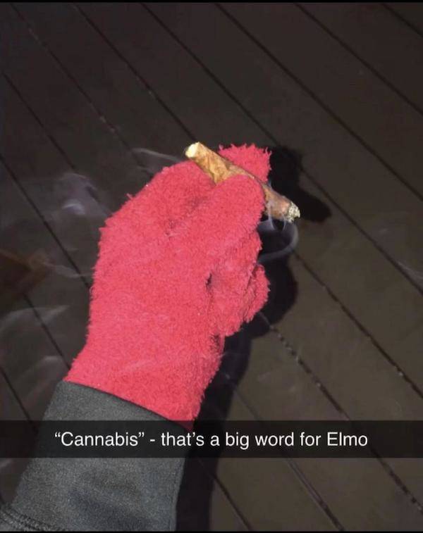 these stoner memes are already high 58 pics 2.html - 58 HD Photos | Premium Gallery 2023