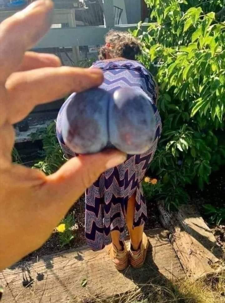 dirty mind come here 50 pics 15.html - 50 HD Photos | Premium Gallery 2023