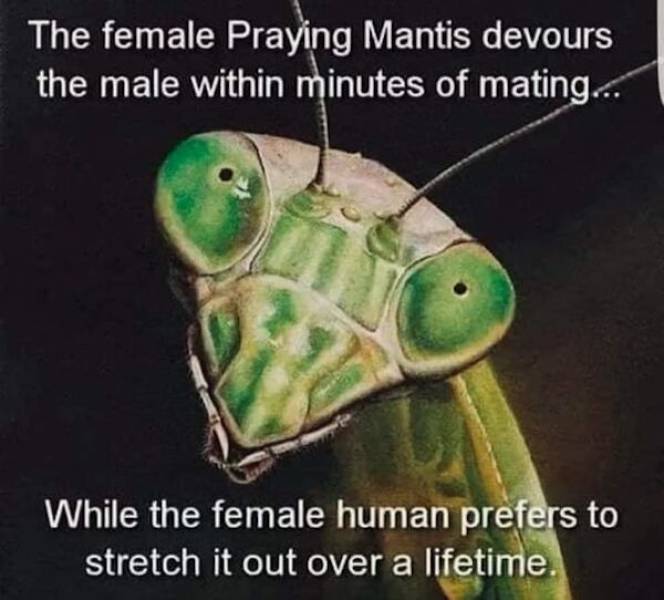 dirty minds assemble 67 pics 1.html - 67 HD Photos | Premium Gallery 2023