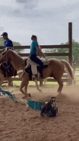 ooh thats dirty 54 pics 1 gif 24.html - 54 HD GIF | Premium Gallery 2023