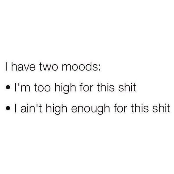 these memes are already stoned 30 pics 13.html - 30 HD Photos | Premium Gallery 2023