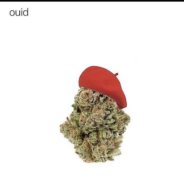 these memes are already stoned 30 pics 13.html - 30 HD Photos | Premium Gallery 2023