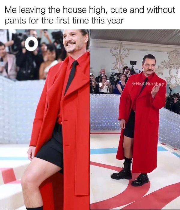 these memes are already stoned 30 pics 13.html - 30 HD Photos | Premium Gallery 2023