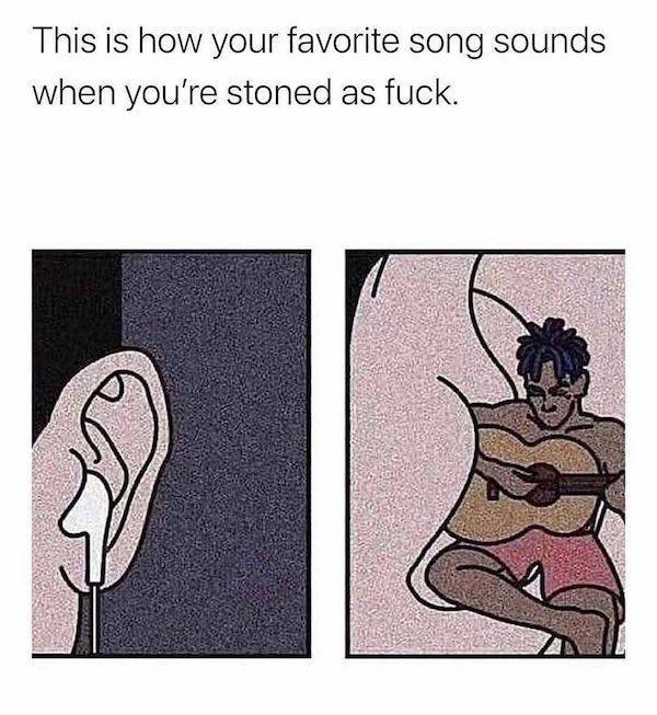 these memes are already stoned 30 pics 13.html - 30 HD Photos | Premium Gallery 2023
