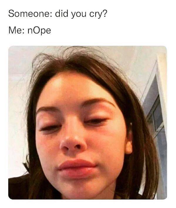 these memes are already stoned 30 pics 13.html - 30 HD Photos | Premium Gallery 2023