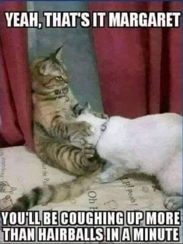 ooh thats dirty 62 pics 30.html - 62 HD Photos | Premium Gallery 2023