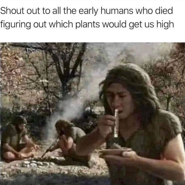 These Memes Are Already Stoned