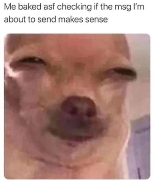 These Memes Are Already Stoned