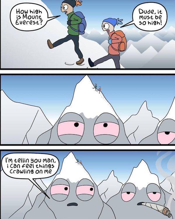 These Memes Are Already Stoned