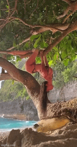 hot girls are here for you 42 gifs 2.html - 1 HD GIF | Premium Gallery 2023