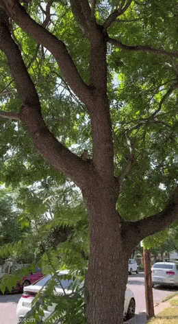 who wants a drink 42 pics 4 gifs 4.html - 42 HD GIF | Premium Gallery 2023