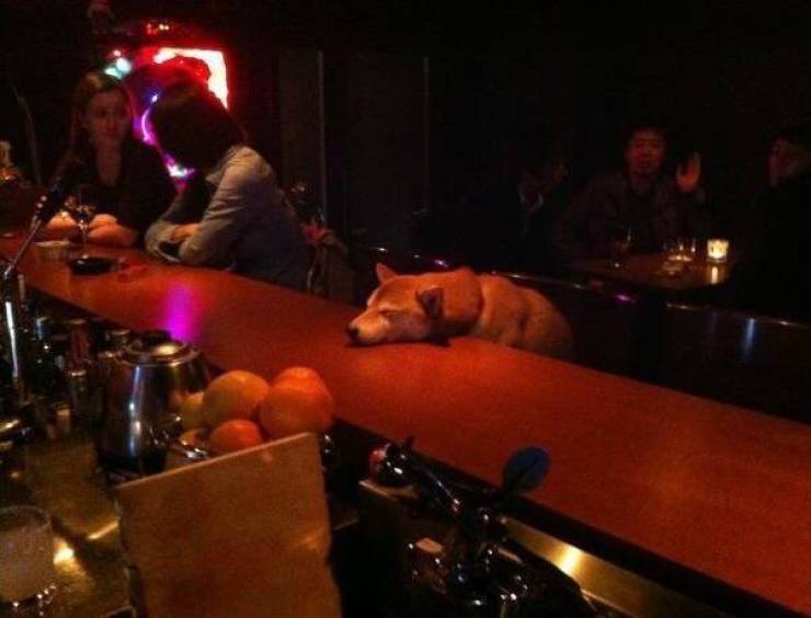 Epic Nightclub Moments Gone Terribly Wrong