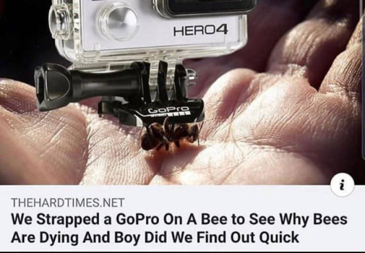 Hold On A Damn Minute!