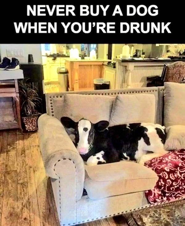 Ooh, That’s Dirty!