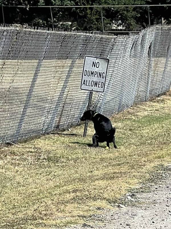 ooh thats dirty 71 pics 2 gifs 21.html - 71 HD GIF | Premium Gallery 2023